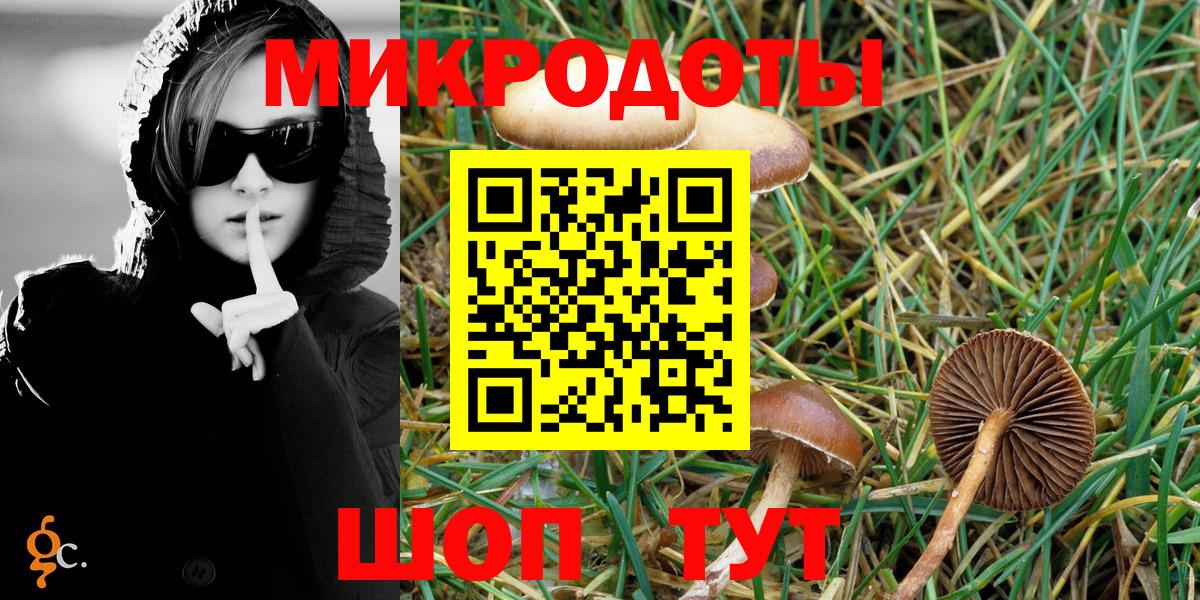 Галлюциногенные грибы прущие грибы Большой Камень