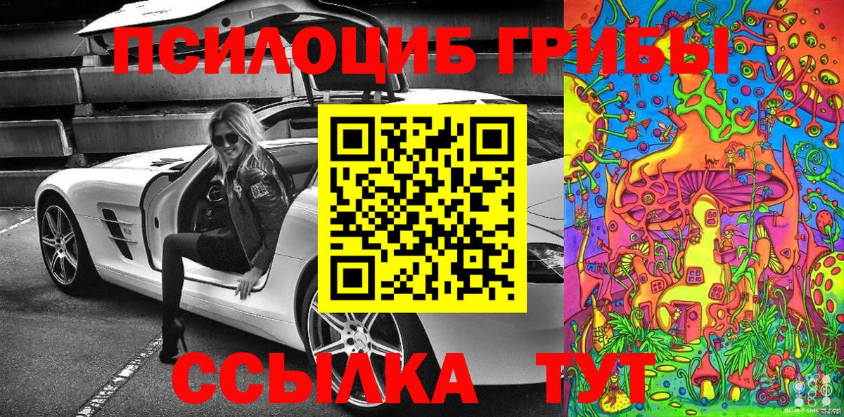 Псилоцибиновые грибы MAGIC MUSHROOMS  Вход с VPN  Большой Камень 